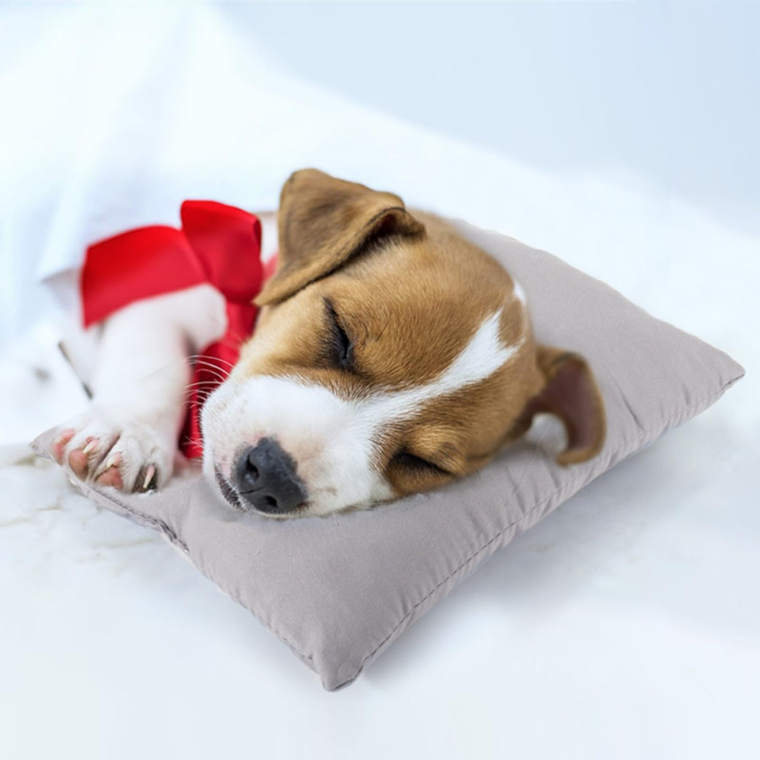 The Best Pillows for Every Sleep Position
